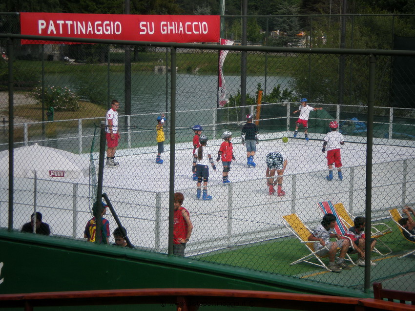 pattinaggio su ghiaccio ecologico _03